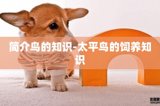 簡介鳥的知識-太平鳥的飼養知識
