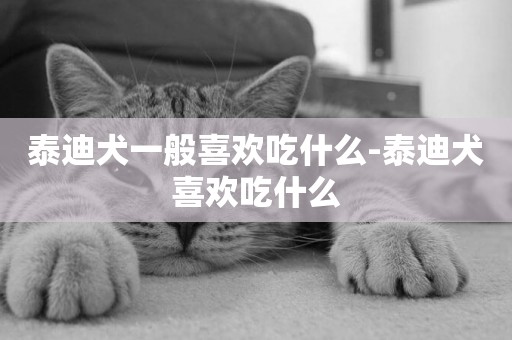 泰迪犬一般喜歡吃什么-泰迪犬喜歡吃什么