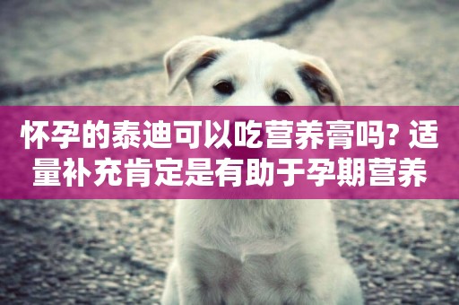 懷孕的泰迪可以吃營養膏嗎? 適量補充肯定是有助于孕期營養