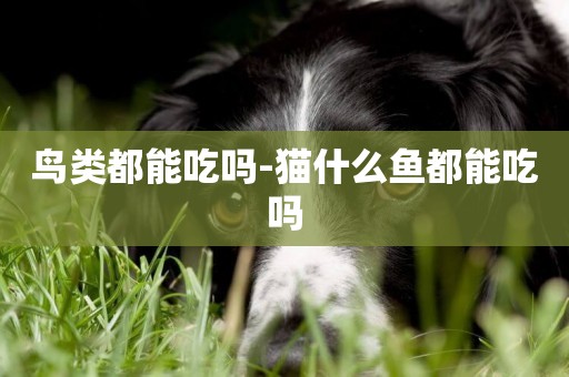 鳥類都能吃嗎-貓什么魚都能吃嗎