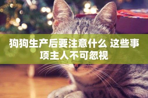 狗狗生產后要注意什么 這些事項主人不可忽視