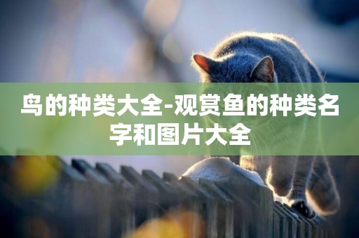 鳥的種類大全-觀賞魚的種類名字和圖片大全