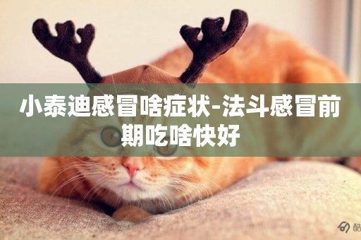 小泰迪感冒啥癥狀-法斗感冒前期吃啥快好