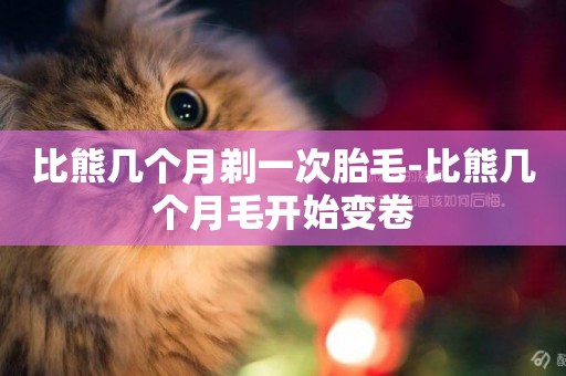 比熊幾個月剃一次胎毛-比熊幾個月毛開始變卷