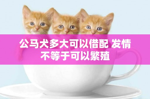 公馬犬多大可以借配 發情不等于可以繁殖 公馬犬多大可以借配 發情不等于可以繁殖