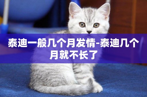 泰迪一般幾個月發情-泰迪幾個月就不長了