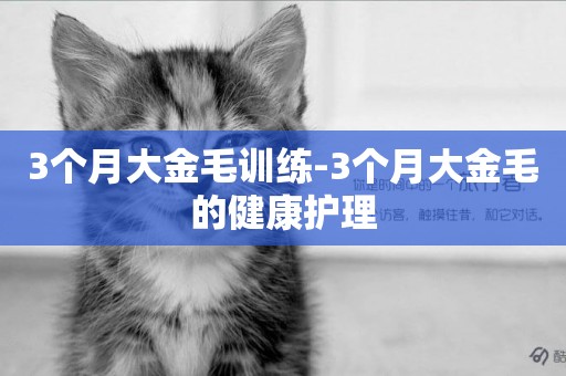 3個月大金毛訓練-3個月大金毛的健康護理