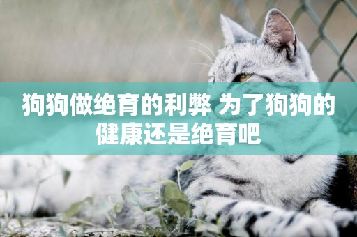 狗狗做絕育的利弊 為了狗狗的健康還是絕育吧