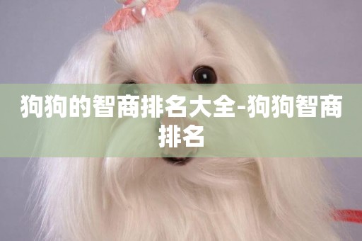 狗狗的智商排名大全-狗狗智商排名