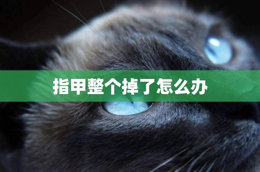指甲整個掉了怎么辦