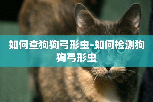 如何查狗狗弓形蟲-如何檢測狗狗弓形蟲