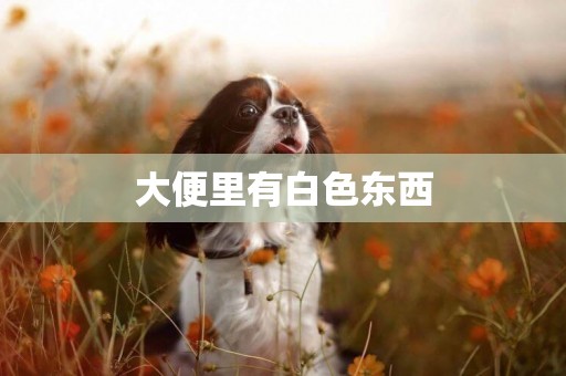 大便里有白色東西