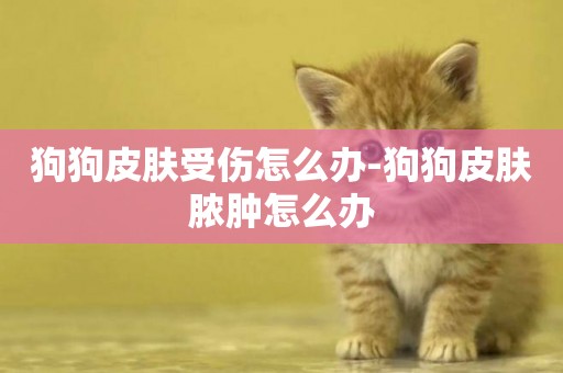 狗狗皮膚受傷怎么辦-狗狗皮膚膿腫怎么辦