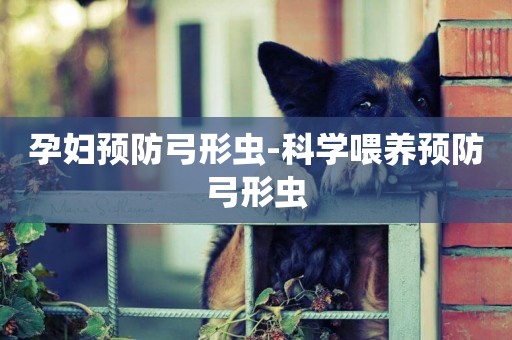 孕婦預防弓形蟲-科學喂養預防弓形蟲