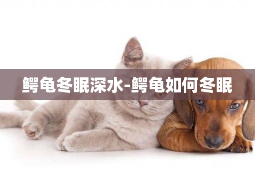 鱷龜冬眠深水-鱷龜如何冬眠