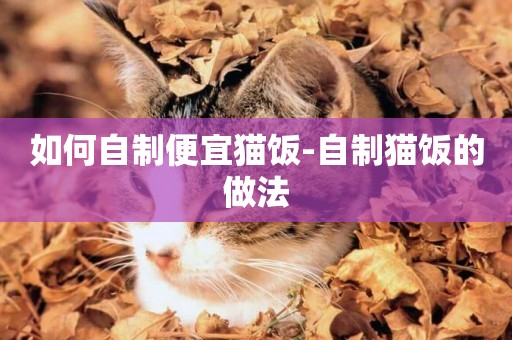 如何自制便宜貓飯-自制貓飯的做法