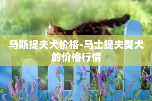 馬斯提夫犬價格-馬士提夫獒犬的價格行情