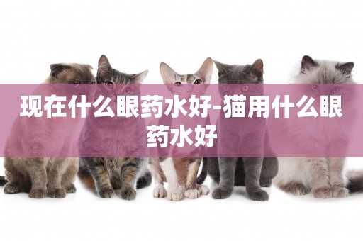 現在什么眼藥水好-貓用什么眼藥水好