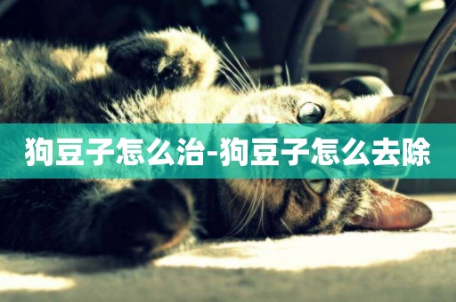 狗豆子怎么治-狗豆子怎么去除