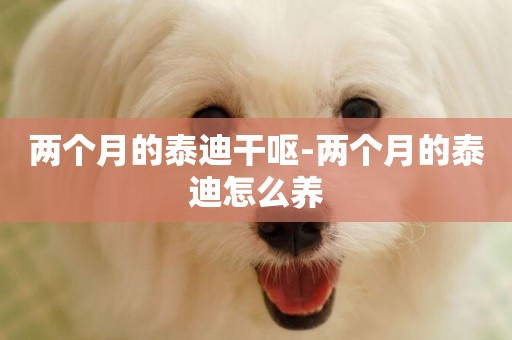 兩個月的泰迪干嘔-兩個月的泰迪怎么養
