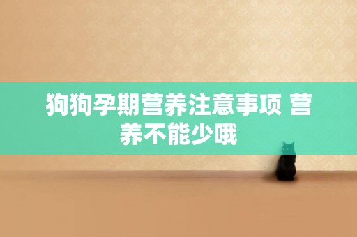 狗狗孕期營養注意事項 營養不能少哦