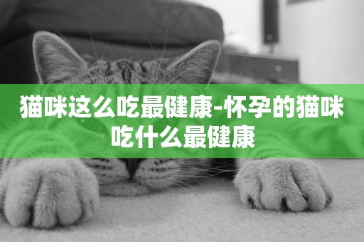 貓咪這么吃最健康-懷孕的貓咪吃什么最健康