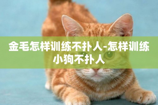 金毛怎樣訓練不撲人-怎樣訓練小狗不撲人