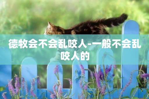 德牧會不會亂咬人-一般不會亂咬人的