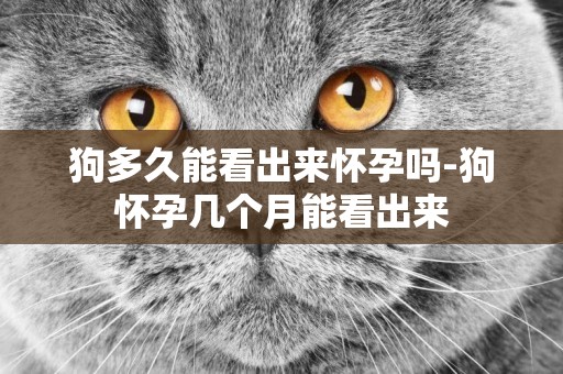 狗多久能看出來懷孕嗎-狗懷孕幾個月能看出來