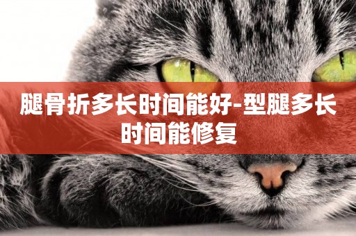 腿骨折多長時間能好-型腿多長時間能修復