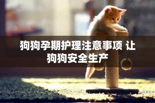 狗狗孕期護理注意事項 讓狗狗安全生產