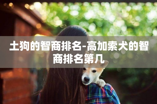 土狗的智商排名-高加索犬的智商排名第幾