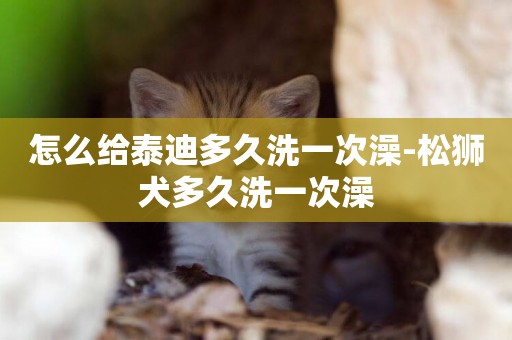 怎么給泰迪多久洗一次澡-松獅犬多久洗一次澡