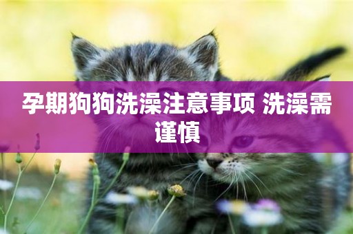孕期狗狗洗澡注意事項 洗澡需謹慎