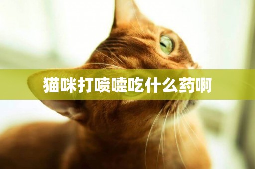貓咪打噴嚏吃什么藥啊
