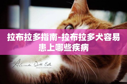 拉布拉多指南-拉布拉多犬容易患上哪些疾病