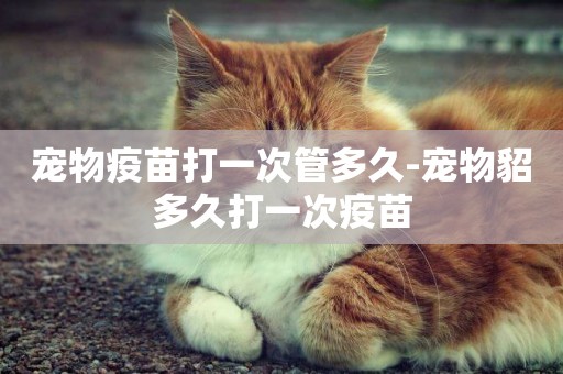 寵物疫苗打一次管多久-寵物貂多久打一次疫苗