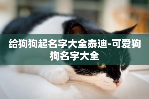 給狗狗起名字大全泰迪-可愛狗狗名字大全
