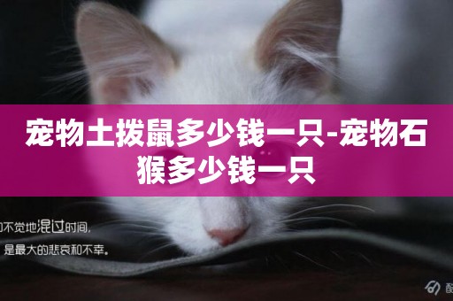 寵物土撥鼠多少錢一只-寵物石猴多少錢一只