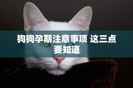 狗狗孕期注意事項 這三點要知道