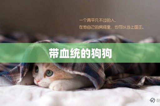 帶血統的狗狗