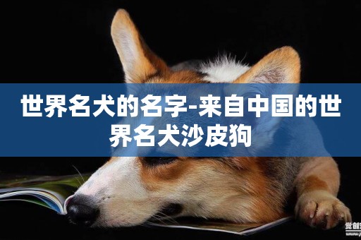 世界名犬的名字-來自中國的世界名犬沙皮狗