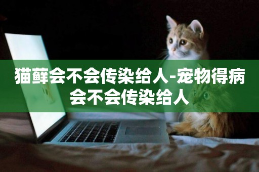 貓蘚會不會傳染給人-寵物得病會不會傳染給人