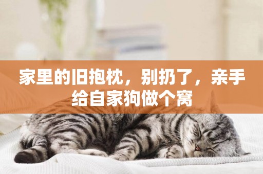 家里的舊抱枕，別扔了，親手給自家狗做個窩