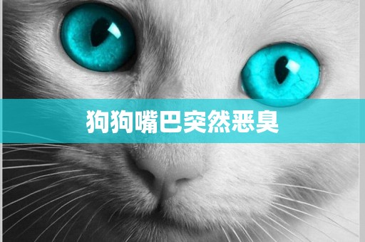 狗狗嘴巴突然惡臭