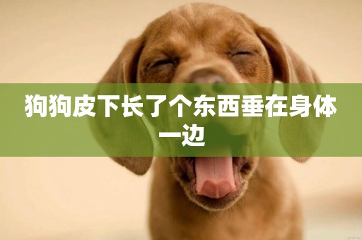 狗狗皮下長了個東西垂在身體一邊