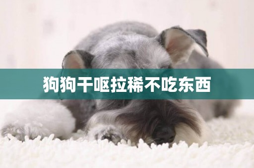 狗狗干嘔拉稀不吃東西