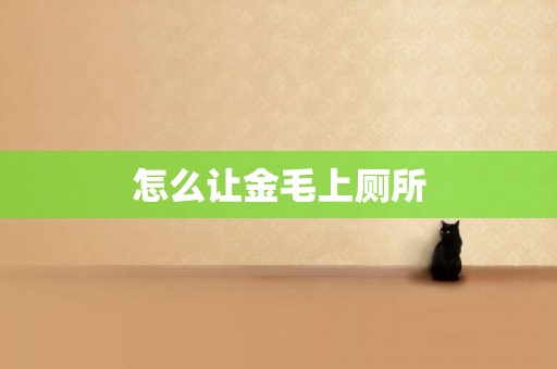 怎么讓金毛上廁所
