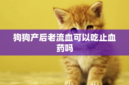 狗狗產后老流血可以吃止血藥嗎