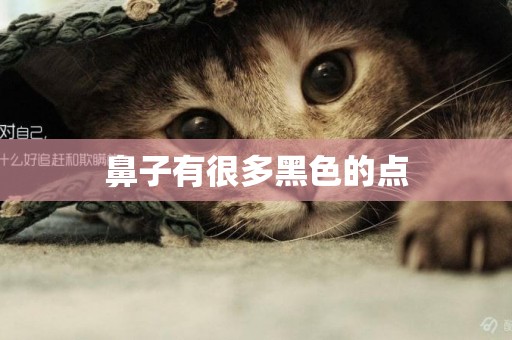 鼻子有很多黑色的點